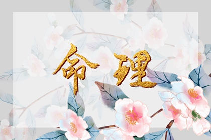 黄历择吉,择吉日大全,择吉皇历
