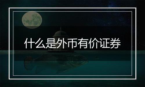 什么是外币有价证券