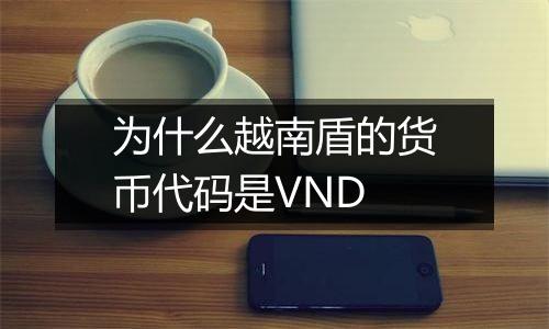 为什么越南盾的货币代码是VND