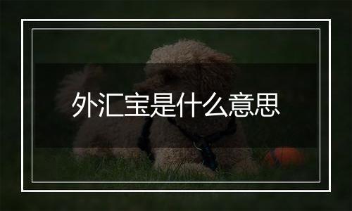 外汇宝是什么意思