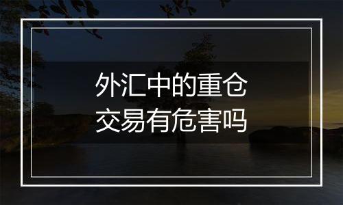 外汇中的重仓交易有危害吗