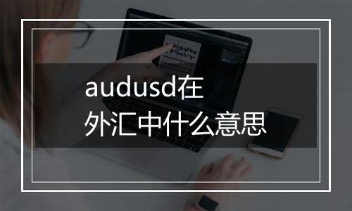 audusd在外汇中什么意思