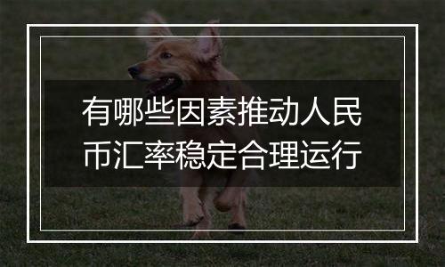 有哪些因素推动人民币汇率稳定合理运行