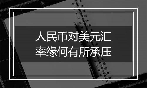 人民币对美元汇率缘何有所承压