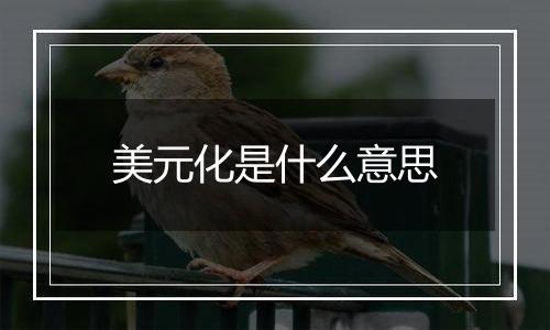 美元化是什么意思