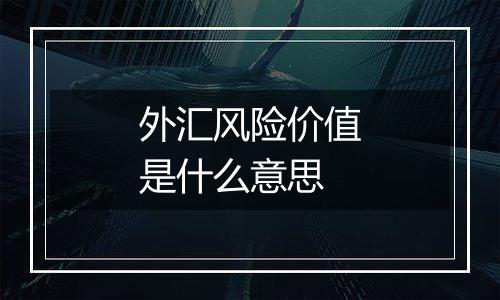 外汇风险价值是什么意思