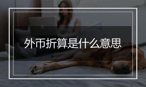 外币折算是什么意思