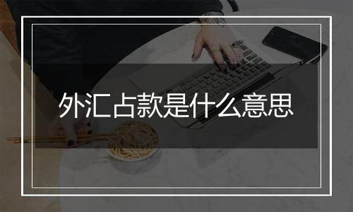 外汇占款是什么意思