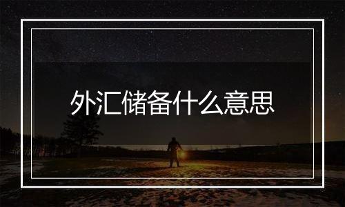 外汇储备什么意思