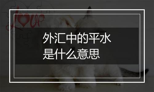 外汇中的平水是什么意思