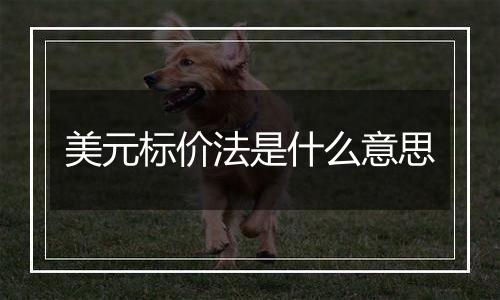 美元标价法是什么意思