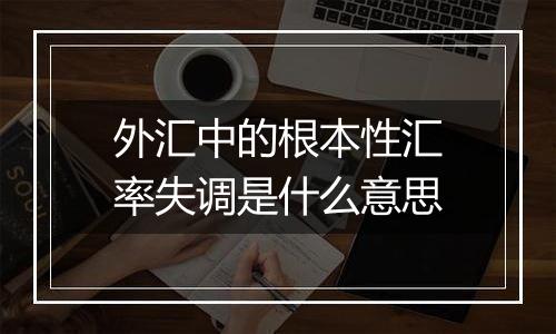 外汇中的根本性汇率失调是什么意思