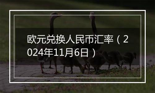 欧元兑换人民币汇率（2024年11月6日）