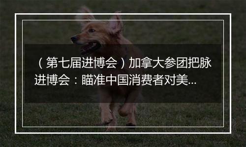 （第七届进博会）加拿大参团把脉进博会：瞄准中国消费者对美好生活的需求