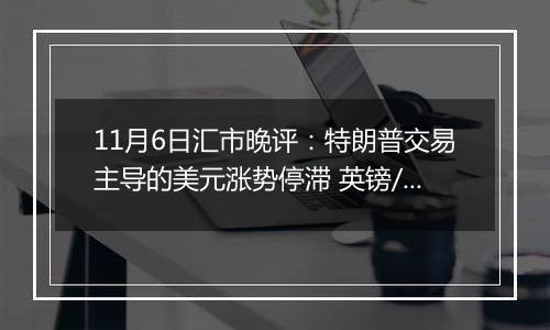 11月6日汇市晚评：特朗普交易主导的美元涨势停滞 英镑/美元回升至1.2910附近