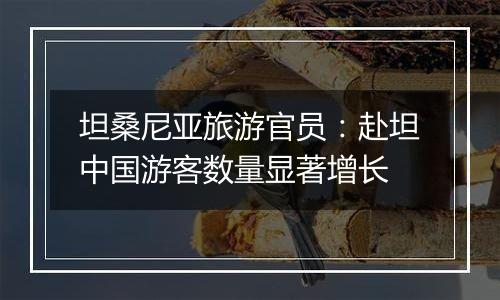 坦桑尼亚旅游官员：赴坦中国游客数量显著增长