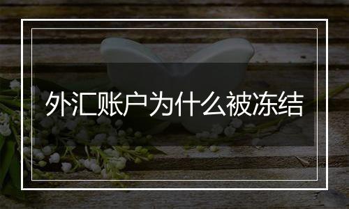 外汇账户为什么被冻结