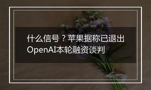 什么信号？苹果据称已退出OpenAI本轮融资谈判