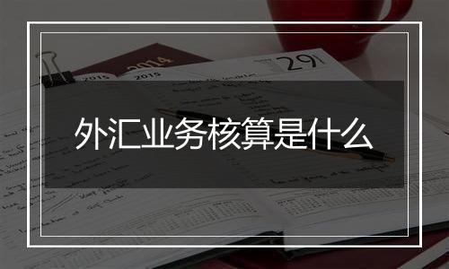 外汇业务核算是什么