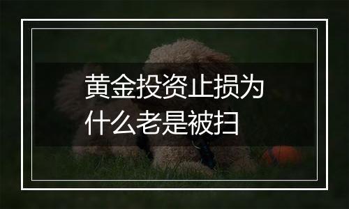 黄金投资止损为什么老是被扫