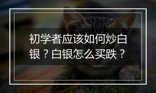 初学者应该如何炒白银？白银怎么买跌？