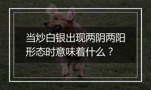 当炒白银出现两阴两阳形态时意味着什么？