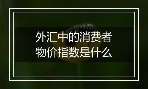 外汇中的消费者物价指数是什么