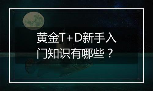 黄金T+D新手入门知识有哪些？