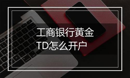 工商银行黄金TD怎么开户