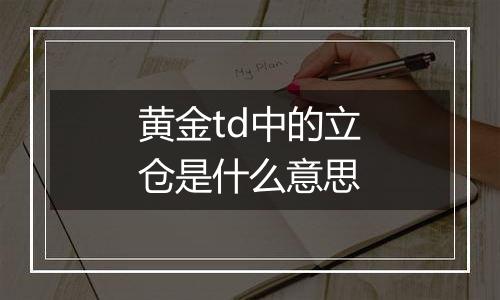 黄金td中的立仓是什么意思