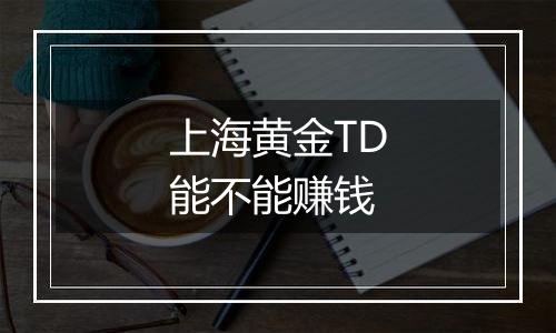 上海黄金TD能不能赚钱