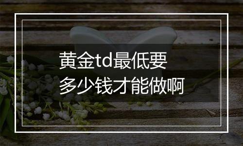 黄金td最低要多少钱才能做啊