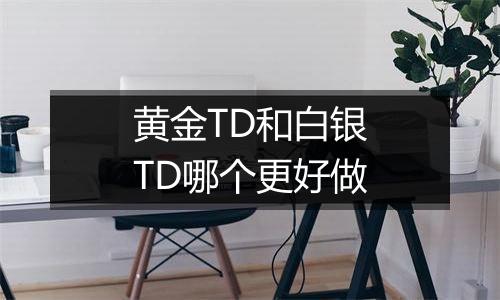 黄金TD和白银TD哪个更好做