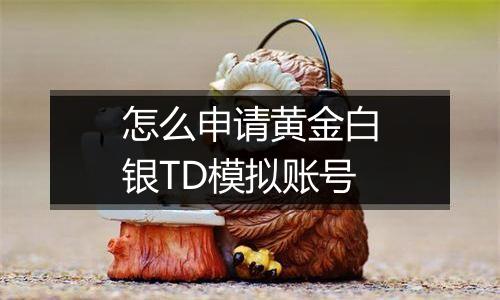 怎么申请黄金白银TD模拟账号