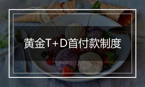 黄金T+D首付款制度