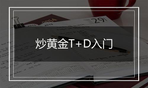 炒黄金T+D入门