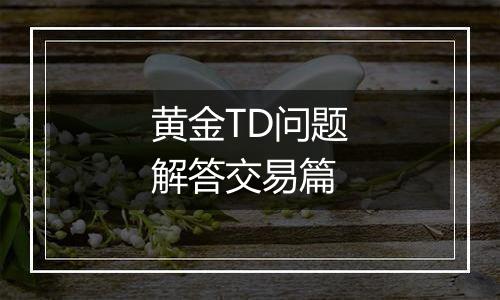 黄金TD问题解答交易篇