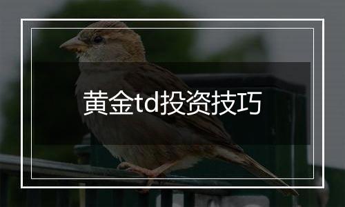 黄金td投资技巧