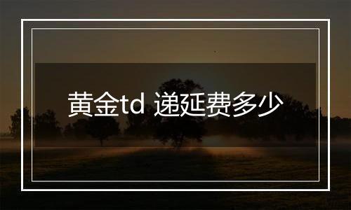 黄金td 递延费多少