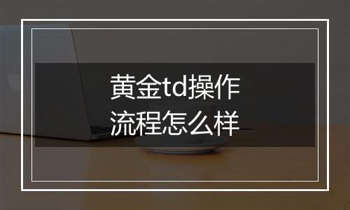 黄金td操作流程怎么样