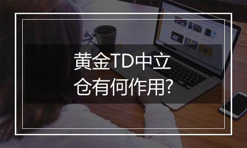 黄金TD中立仓有何作用?