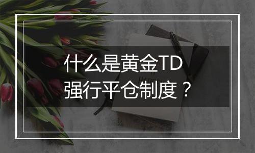 什么是黄金TD强行平仓制度？