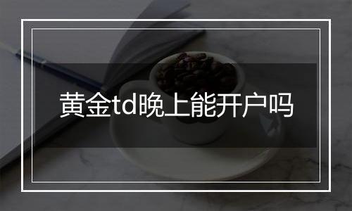 黄金td晚上能开户吗