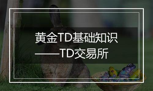 黄金TD基础知识——TD交易所