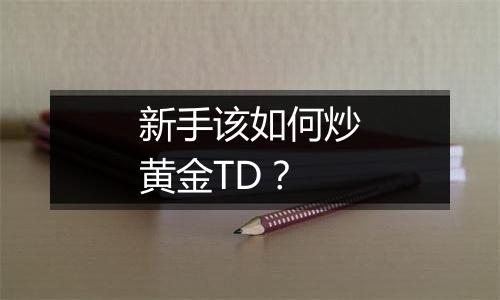 新手该如何炒黄金TD？