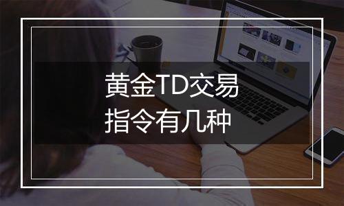 黄金TD交易指令有几种