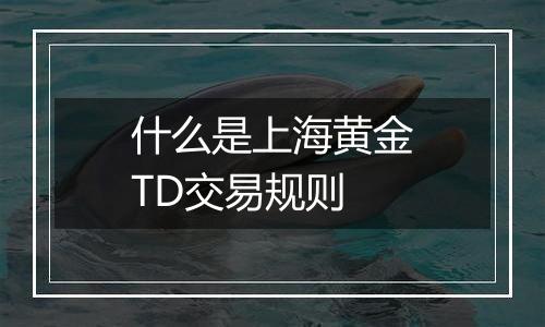 什么是上海黄金TD交易规则