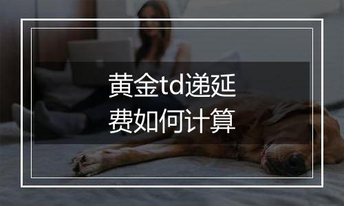 黄金td递延费如何计算