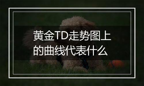 黄金TD走势图上的曲线代表什么