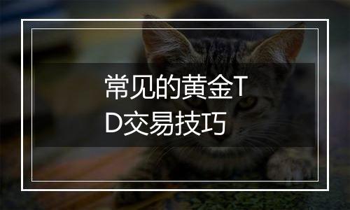 常见的黄金TD交易技巧